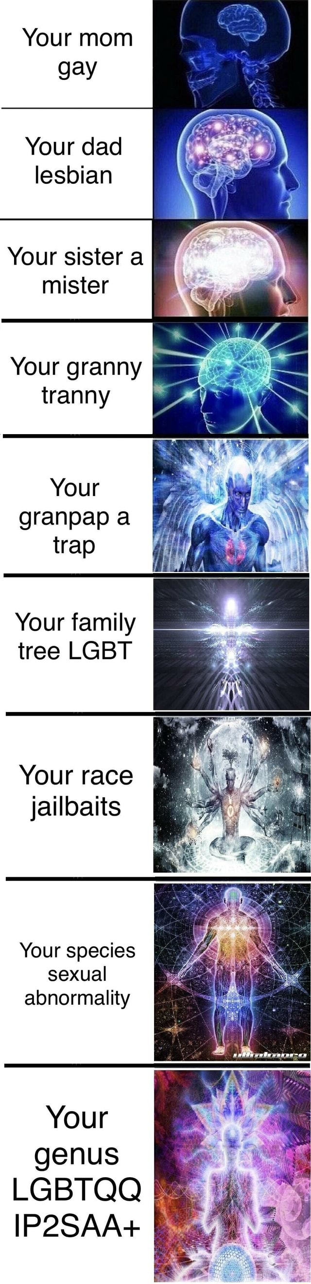 your mom the big gay meme