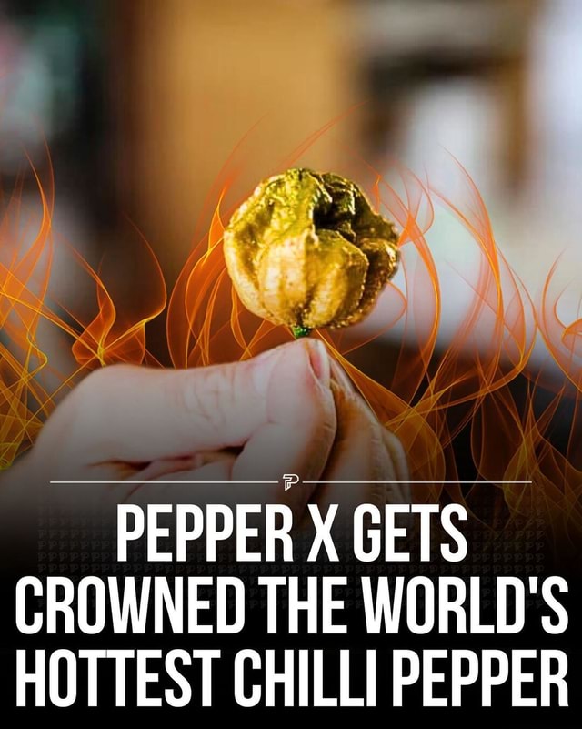 Guinness World Records crowns Pepper X as the World's Hottest Chili