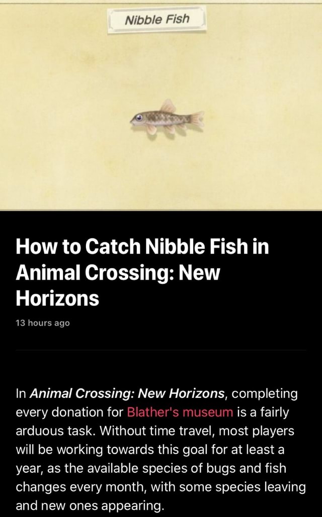 Nibble Fish How to Catch Nibble Fish in Animal Crossing New In Animal Crossing New Horizons