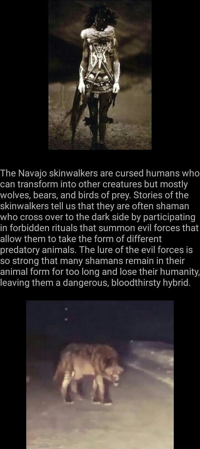 The Navajo skinwalkers are cursed humans who can transform into other ...