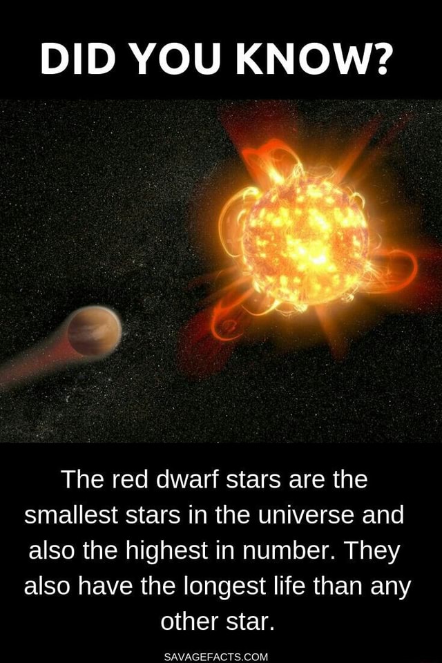 DID YOU KNOW? The red dwarf stars are the smallest stars in the ...