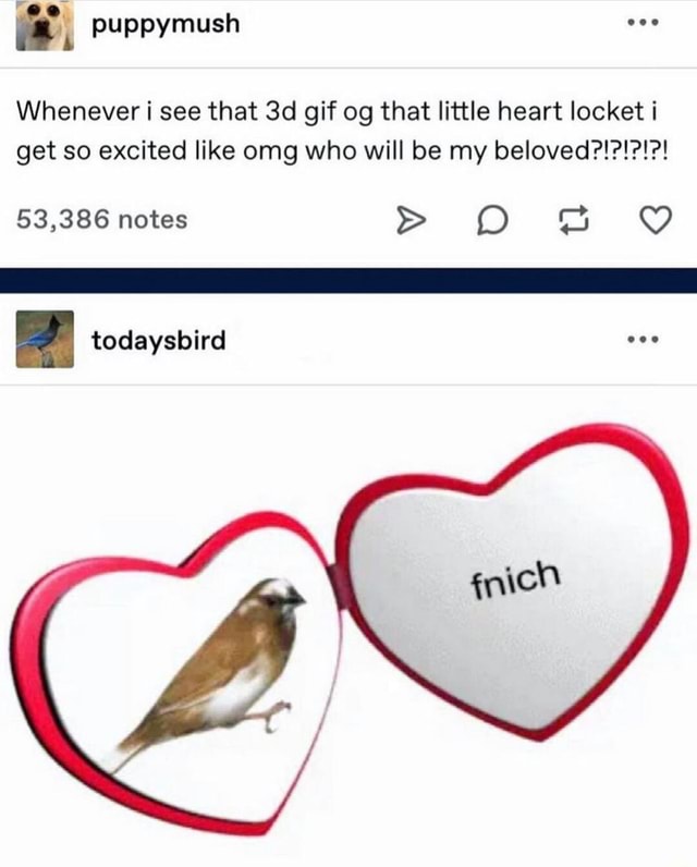 Heart Locket GIF