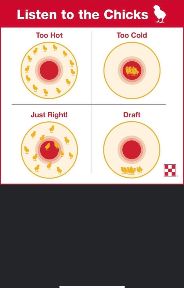 Listen to the Chicks Too Hot Too Cold Just Right! iFunny