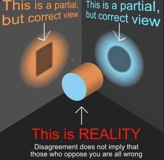 Partiful Meme 'This is a partial, This is a partial, but correct view but Correct ...