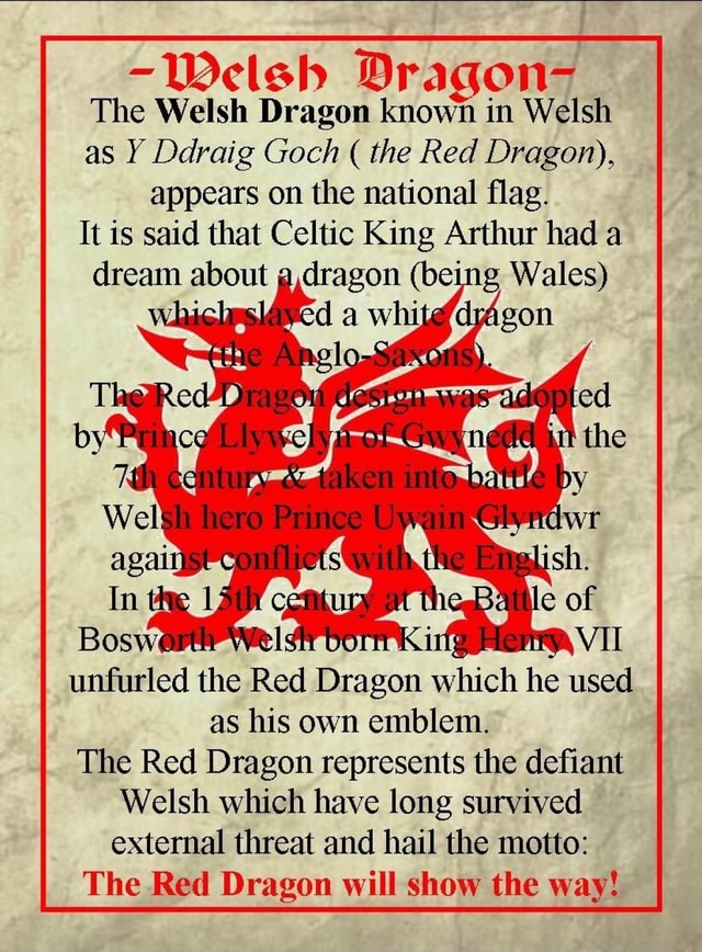 -Welsh Dragon- The Welsh Dragon known in Welsh as Ddraig Goch the Red ...