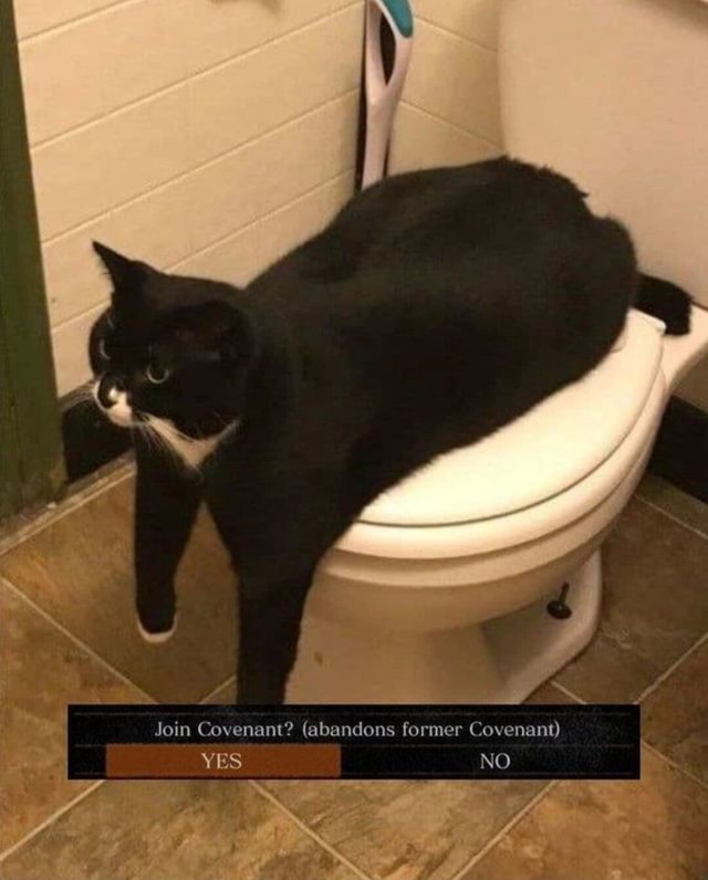 join-covenant-abandons-former-covenant-yes-no-ifunny