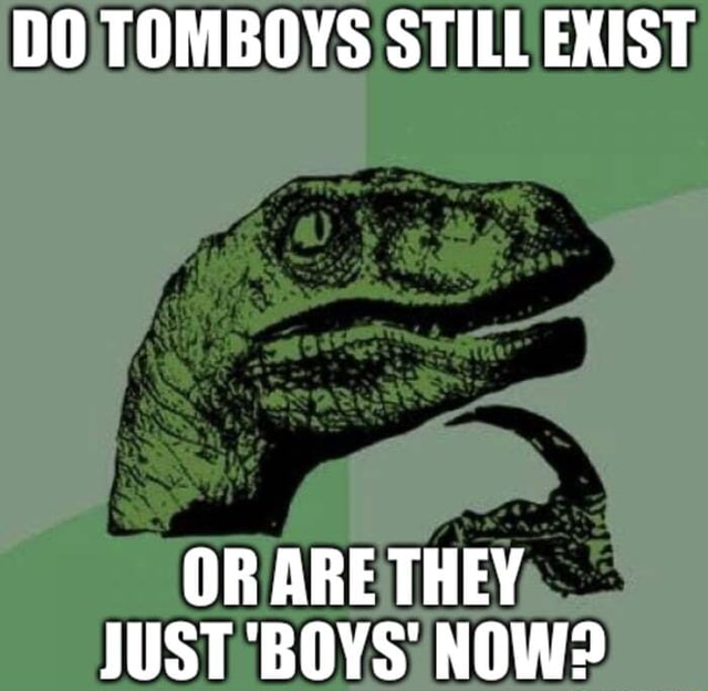 DO TOMBOYS STILL EXIST OR ARE THEY HIST 'RAVS' NNW iFunny