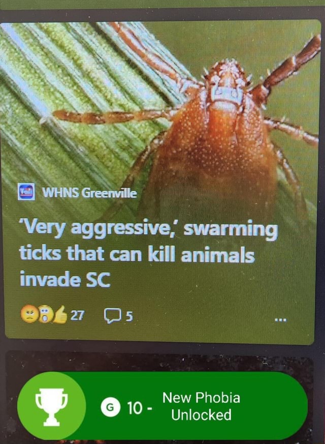 "Very aggressive, swarming ticks that can kill animals invade SC New