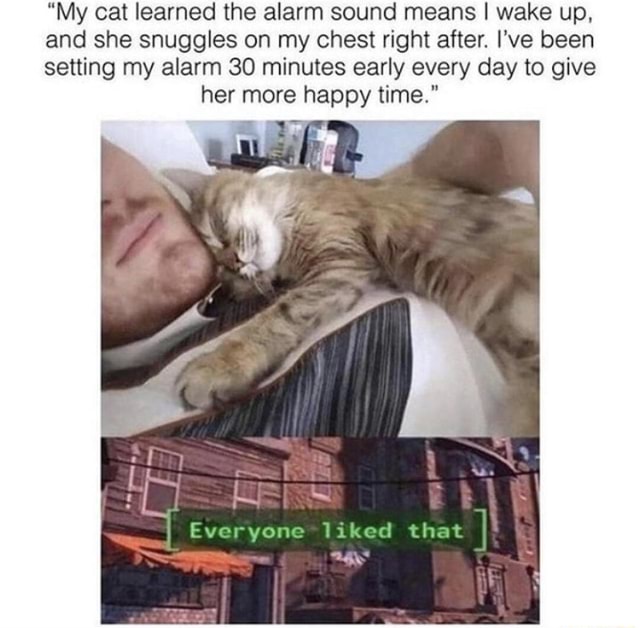 "My cat learned the alarm sound means I wake up, and she snuggles on my