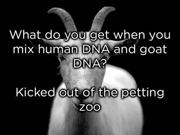 8347285757a8f000d4cf3128bc8e471cda60c0e4f3bffff1c76c57a7032333ef_1.jpg