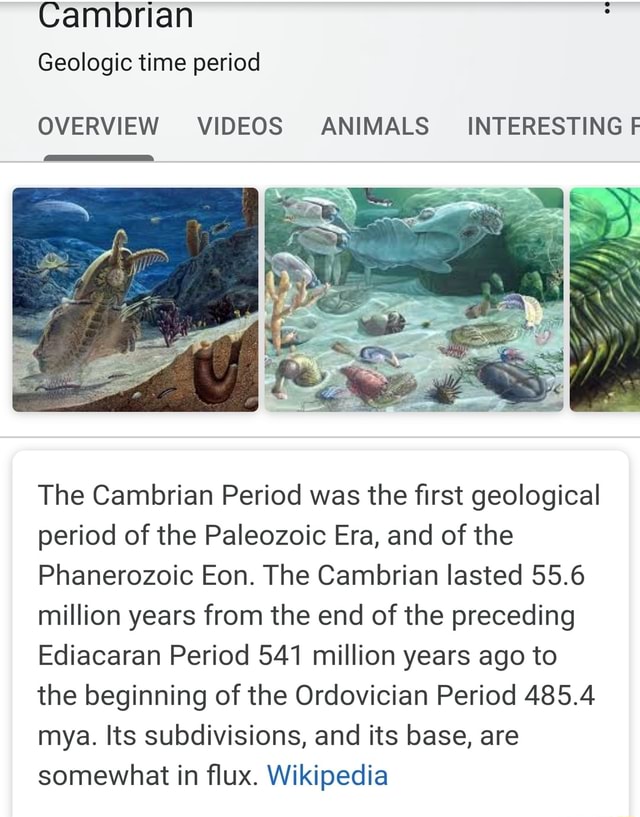 Cambrian OVERVIEW VIDEOS ANIMALS INTERESTINGF The Cambrian Period Was ...