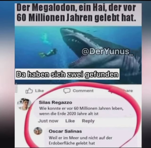 L_) Comment Silas Regazzo Wie konnte er vor 60 Millionen Jahren leben