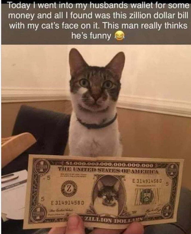 A zillion dollar bill )