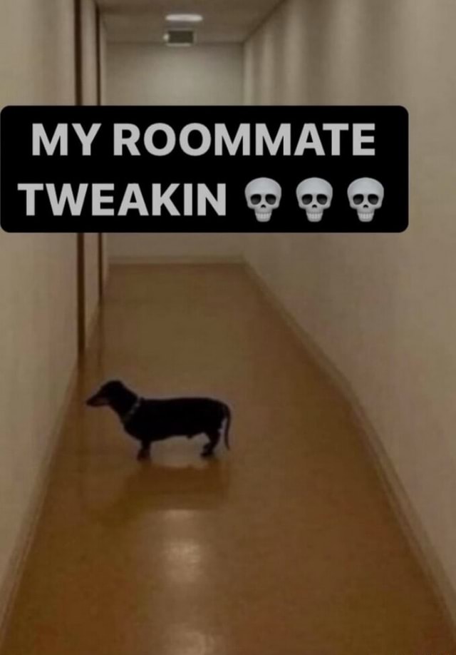 MY ROOMMATE 'TWEAKIN I - iFunny