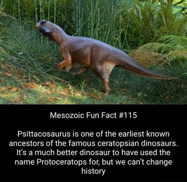 Mesozoic Fun Fact #115 Psittacosaurus is one of the earliest known ...