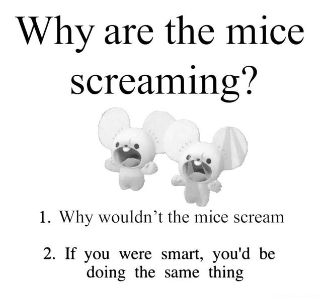 Why are the mice screaming? 1. Why wouldn't the mice scream 2. If you