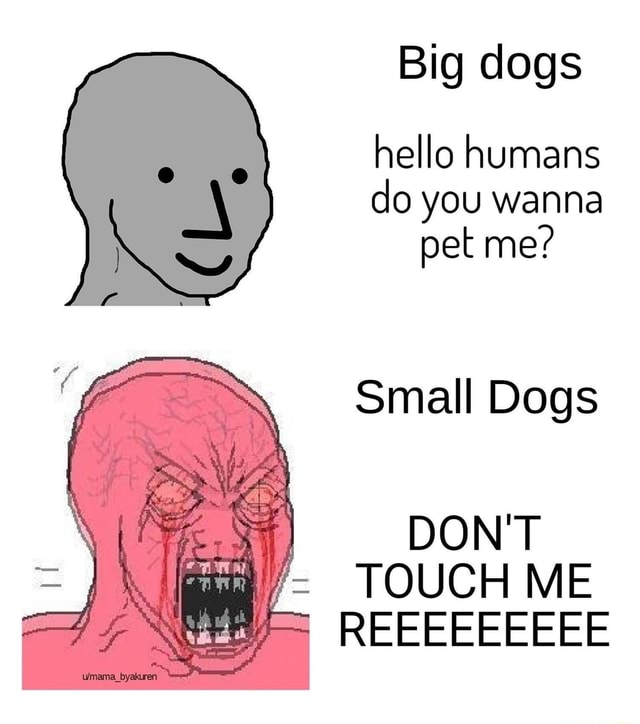 big-dogs-hello-humans-do-you-wanna-pet-me-small-dogs-don-t-touch-me