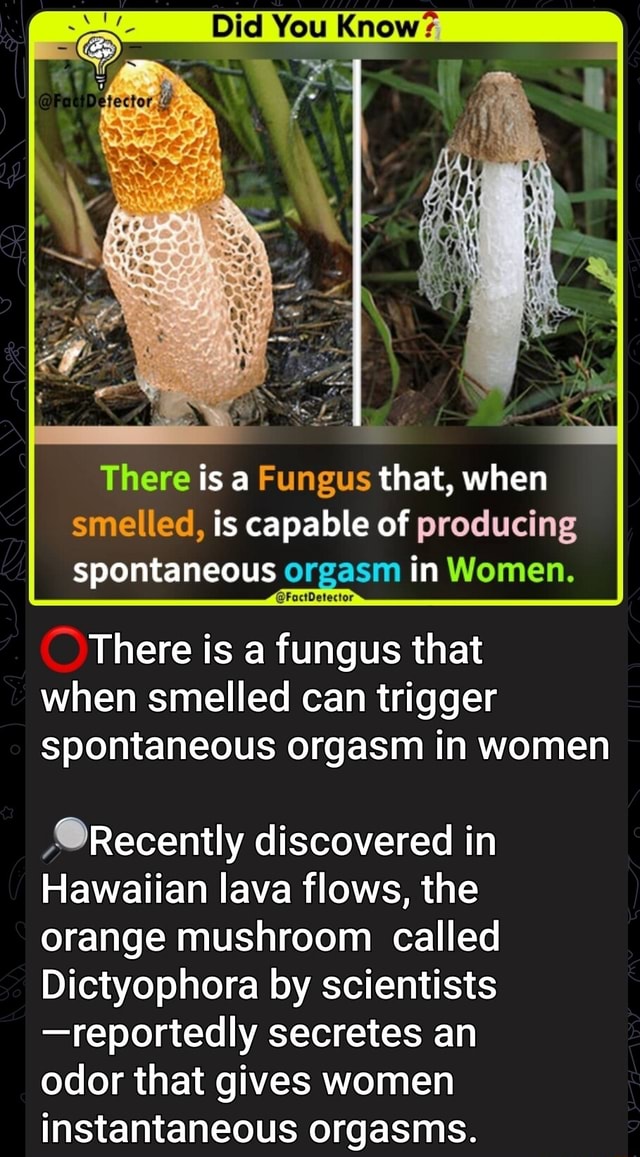 There is a Fungus that when smelled is capable of producing