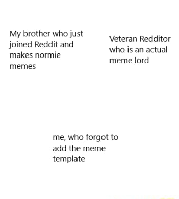 My Brother Who Just Joined Reddit And Makes Normie Memes Veteran Redditor Who Is An Actual Meme Lord Me Who Forgot To Add The Meme Template