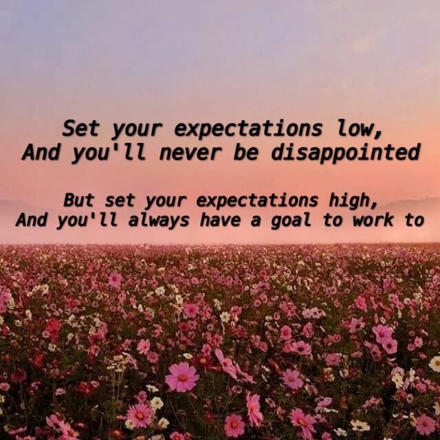 Set Your Expectations Low And You Ll Never Be Disappointed But Set Your Expectations High And You Ll Always Have A Goal To Work To Ifunny
