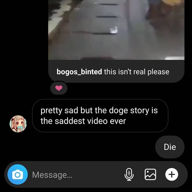 Bogos_binted this isn't real please pretty sad but the doge story is