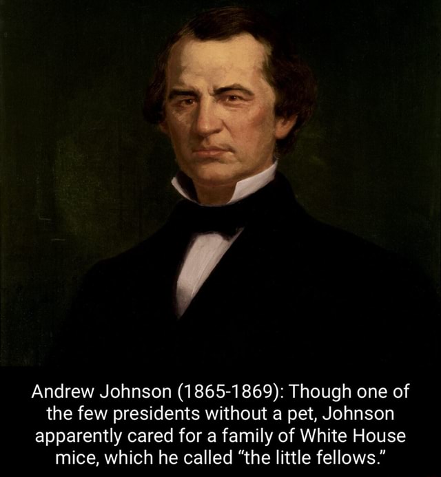 FF Andrew Johnson (1865-1869): Though one of the few presidents without ...