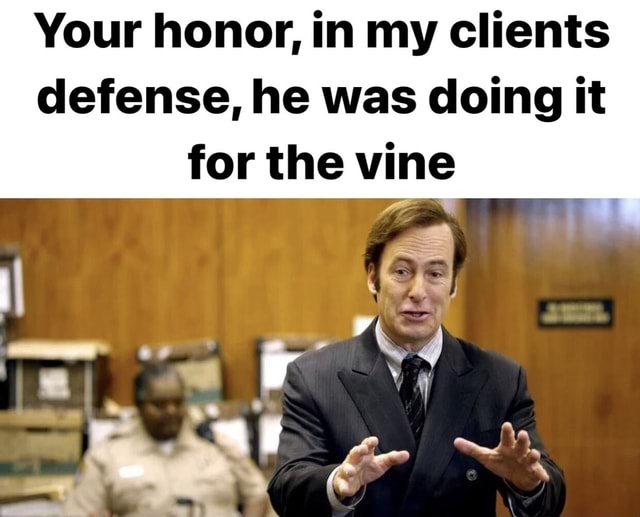 Your honor, in my clients defense, he was doing it for the vine - iFunny