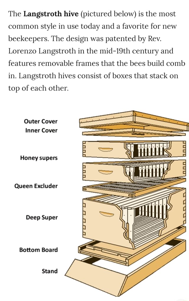 The Langstroth hive (pictured below) is the most common style in use ...