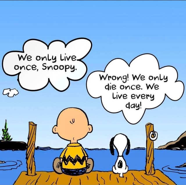 We only Live once, Snoopy. Wrong! We only die once. We Live every dau ...