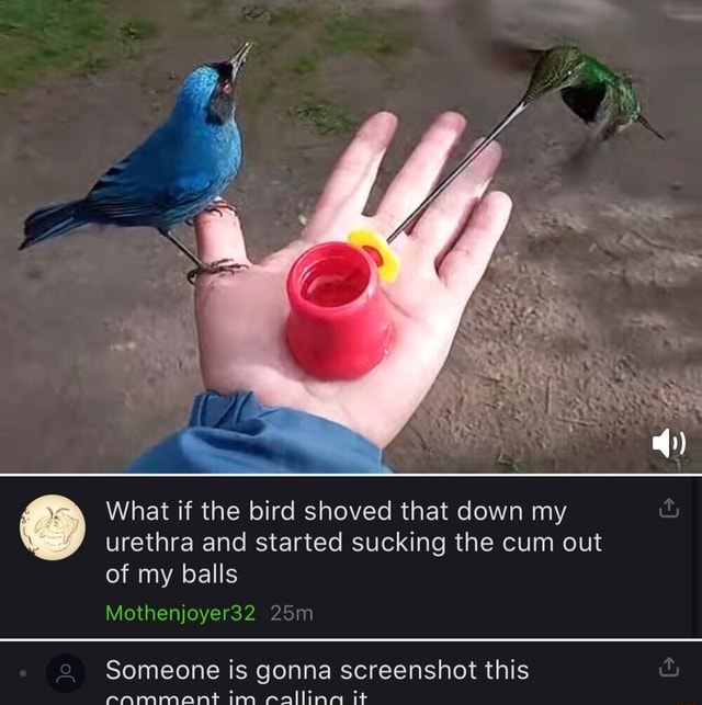 What if the bird shoved that down my urethra and started sucking the ...