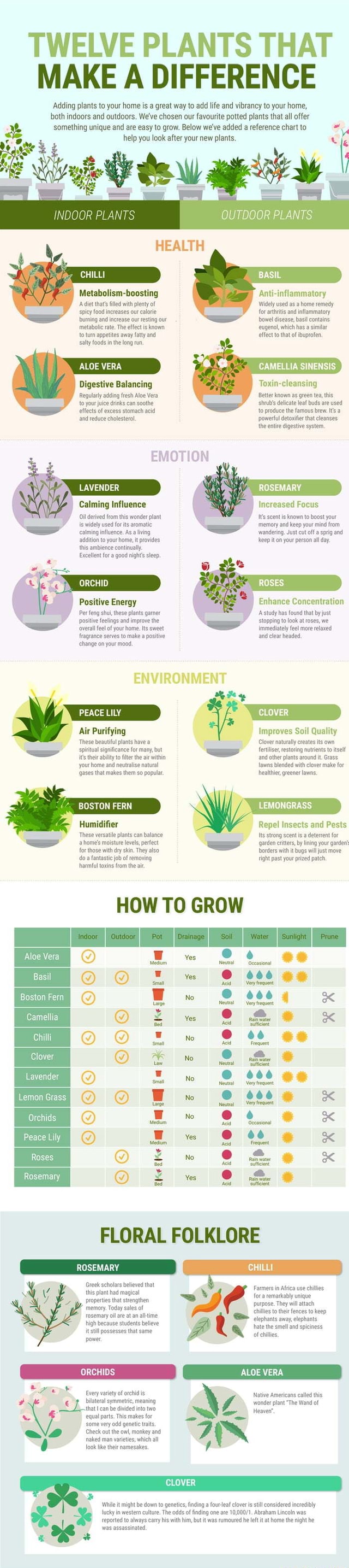 TWELVE PLANTS THAT MAKE A DIFFERENCE 'Adding plants to your home is a