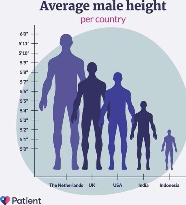 Average male height per country BP SP The Netherlands UK USA India