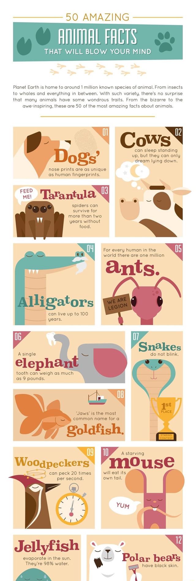Interesting Animal Facts - 90 AMAZING THAT WILL BLOW YOUR MIND Planet ...