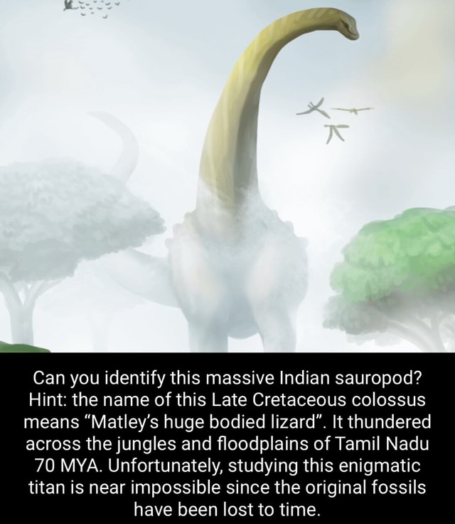 Can you identify this massive Indian sauropod? Hint the name of this