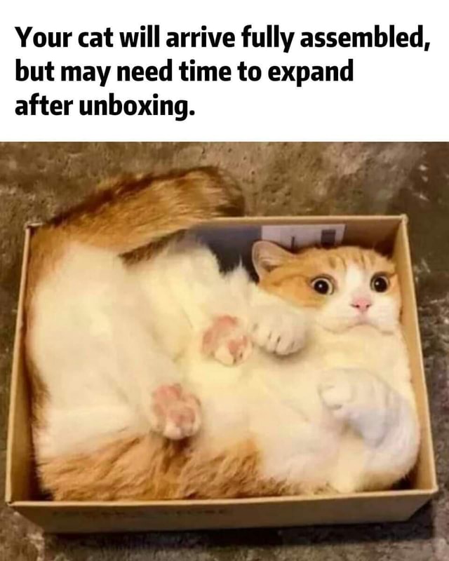 Your cat will arrive fully assembled, but may need time to expand after ...