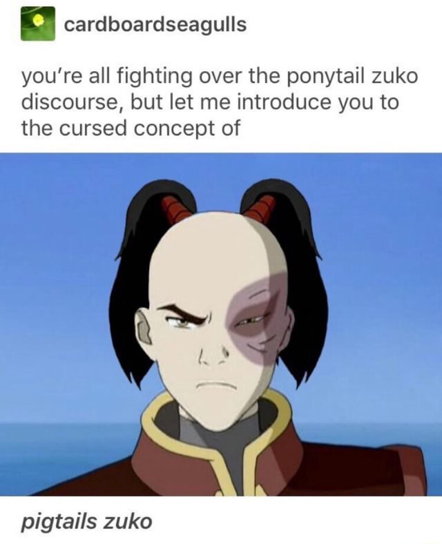 You're all fighting over the ponytail zuko discourse, but let me ...