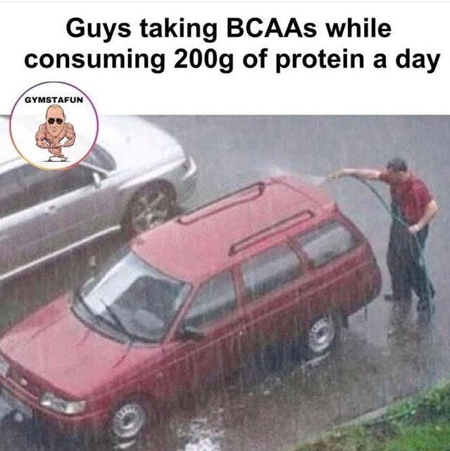 Guys taking BCAAs while consuming 200g of protein a day iFunny