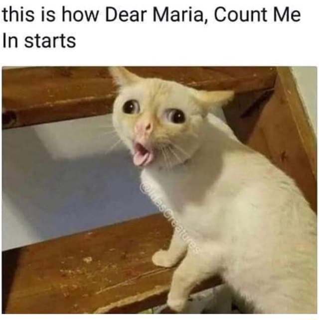 This Is How Dear Maria Count Me In Starts Ifunny