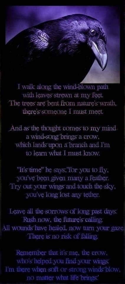 Walk along the wind-blown path with leaves strewn at my feet. The trees