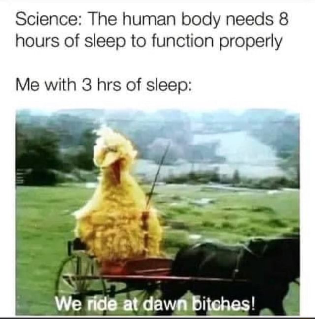 Science: The human body needs 8 hours of sleep to function properly Me ...