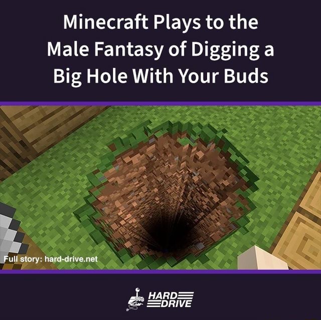 Minecraft Plays to the Male Fantasy of Digging a Big Hole With Your Buds Full story harddrive