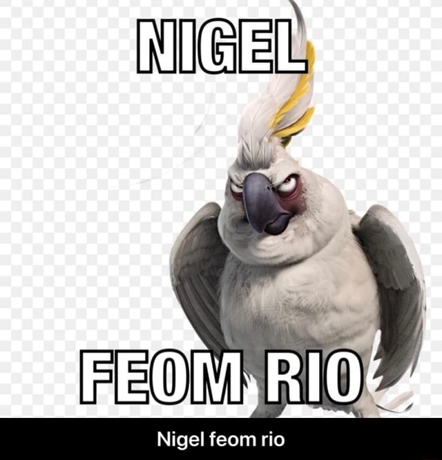 Nigel Feom Rio