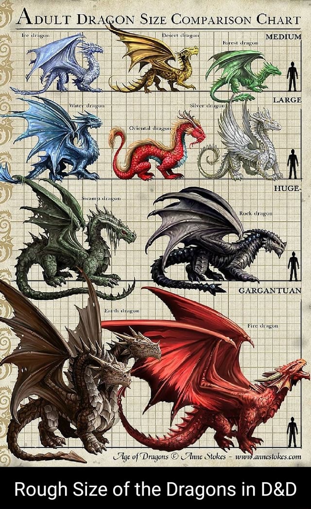 DR SizE COMPARISON CHART De Rough Size of the Dragons in - iFunny