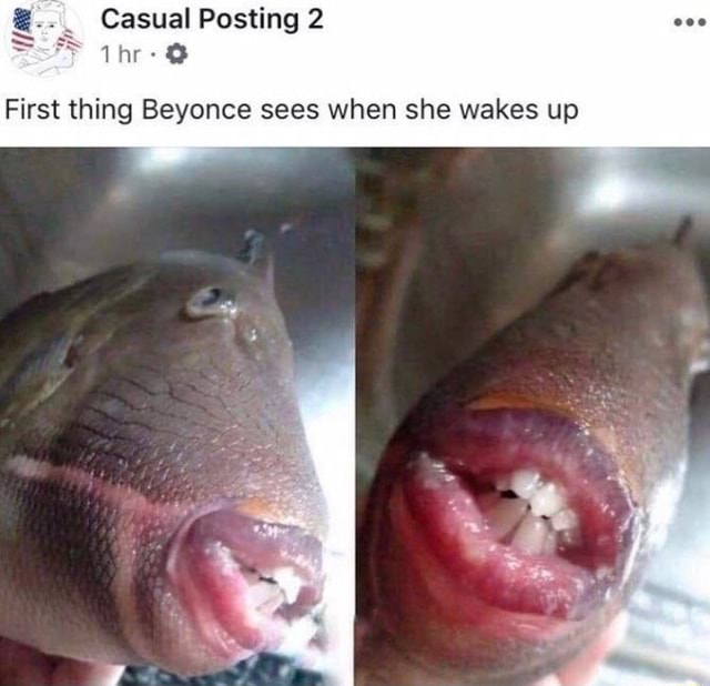 First Thing Beyonce Sees When She Wakes Up Ifunny 2968