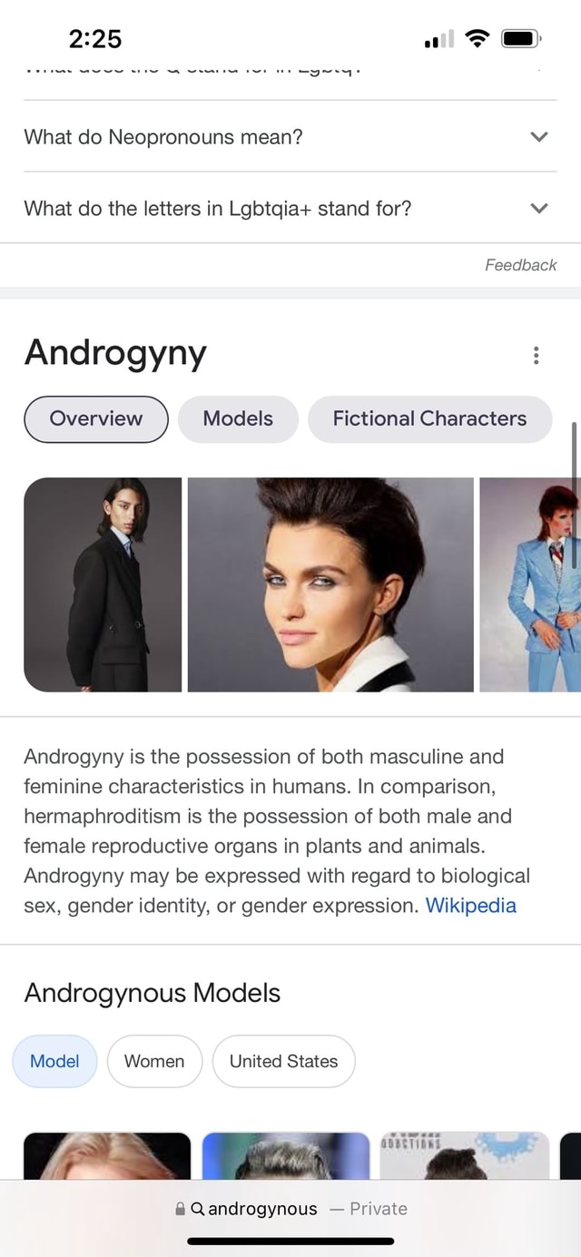 What do Neopronouns mean? What do the letters in Lgbtqia+ stand for? Vv