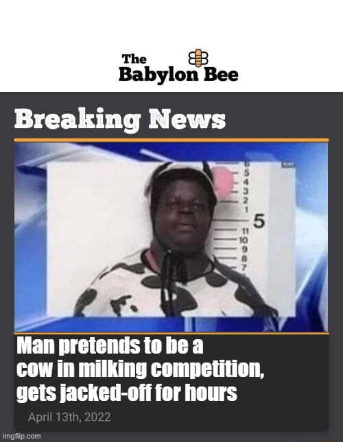 Bee The Breaking News Man pretends to be a cow in milking competition