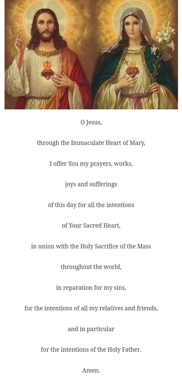 O Jesus, through the Immaculate Heart of Mary, I offer You my prayers ...