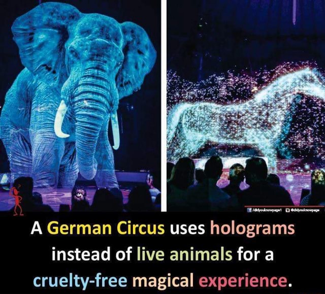 A German Circus Uses Holograms Instead Of Live Animals For A Crueltv ...