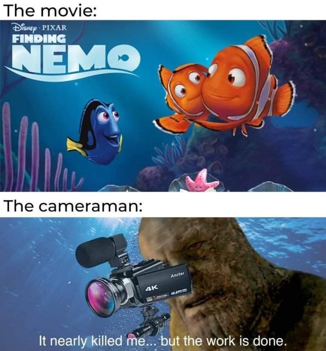 the-movie-finding-pixar-nemo-the-cameraman-kg-it-nearly-killed-me