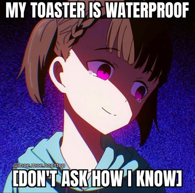 MY TOASTER IS WATERPROOF [DON'T ASK HOW KNOW] iFunny